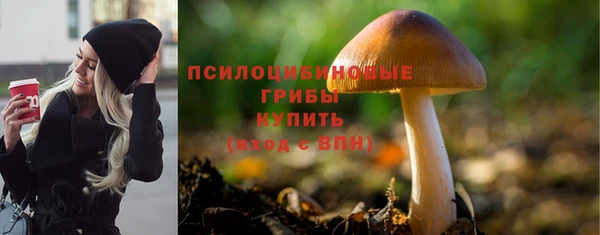 мдпв Зерноград