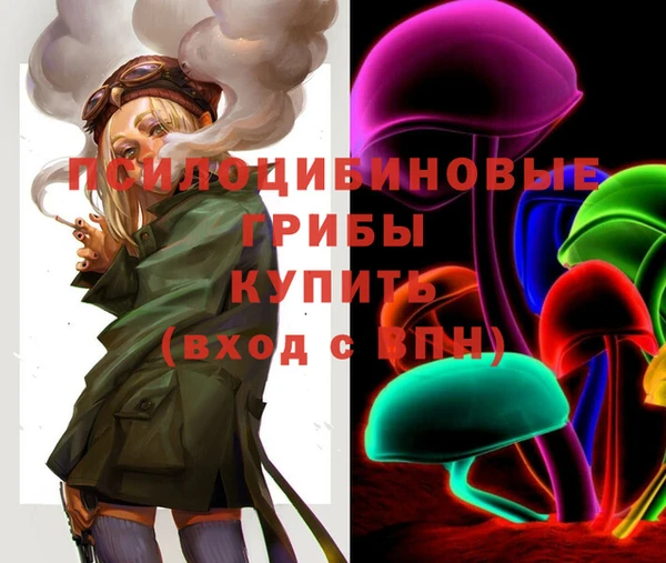 дурь Зеленодольск