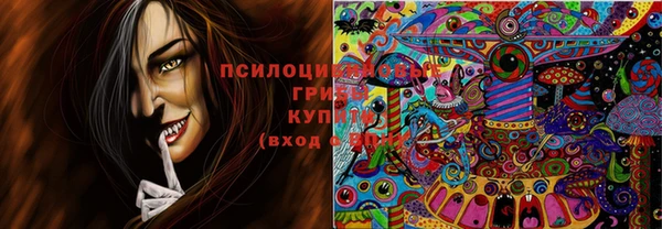 jwh Зеленокумск