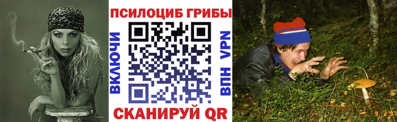 Галлюциногенные грибы Magic Shrooms Пойковский